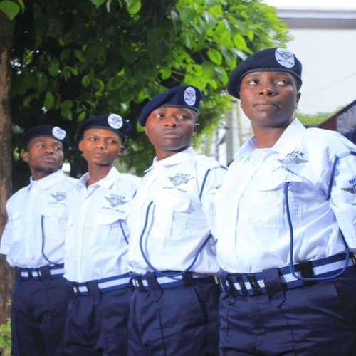 Novak Security Service